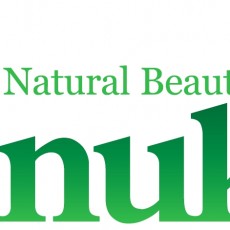 Anukis Logo original