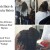 Lush Hair and Beauty Salon - African Caribbean Hair Styles