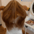 Need a hair makeover salon hair extensions 11